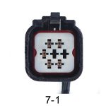 Automotive pigtail and connector - 7 cavity