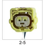 Automotive pigtail and connector - Automotive Pigtails by The Parts Man 2 Cavity 005 1