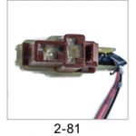 Automotive pigtail and connector - Automotive Pigtails by The Parts Man 2 Cavity 081