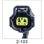 Automotive pigtail and connector - Automotive Pigtails by The Parts Man 2 Cavity 103