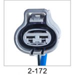 Automotive pigtail and connector - Automotive Pigtails by The Parts Man 2 Cavity 172