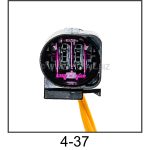 Automotive pigtail and connector - Automotive Pigtail 4 037